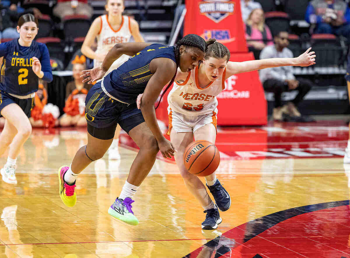 O’Fallon’s Jailah Pelly battles for the ball during Friday’s IHSA Class 4A state semifinal game against Hersey. The Panthers ultimately prevailed 77-60 to advance to the state title game.