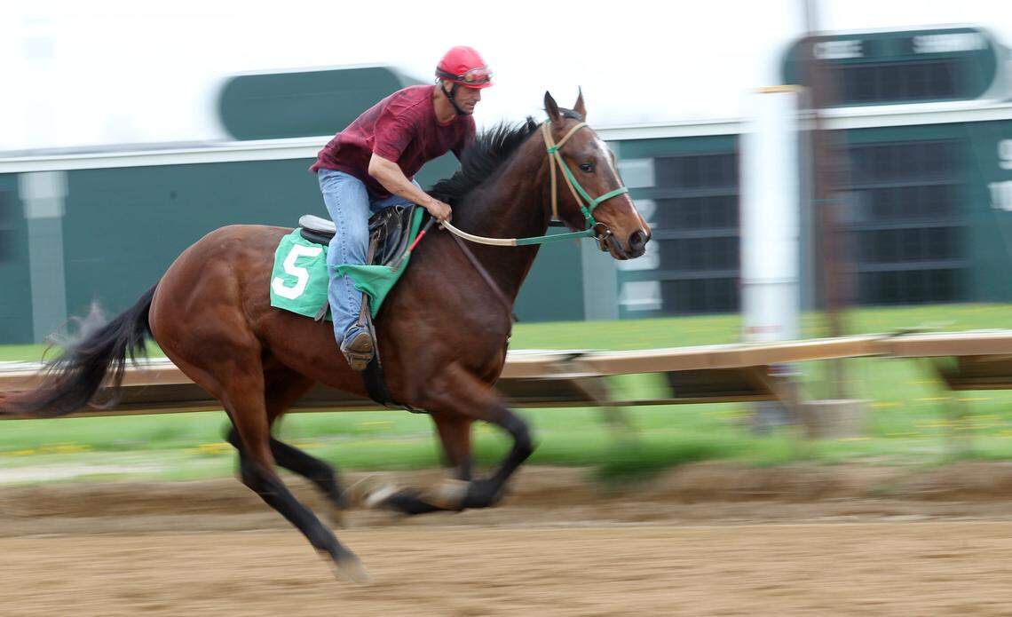 The Illinois Racing Board has approved 41 racing days for Fairmount Park in 2019 from April 16 through Sept. 14.