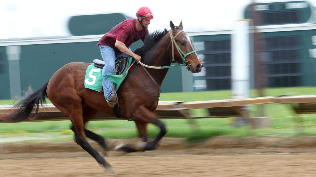 The Illinois Racing Board has approved 41 racing days for Fairmount Park in 2019 from April 16 through Sept. 14.