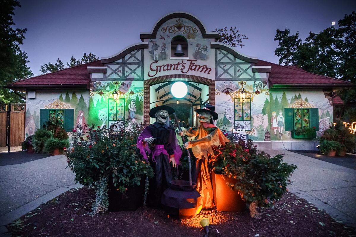 Grant’s Farm will host Halloween Nights Thursdays through Sundays in October. For details, visit www.grantsfarm.com.
