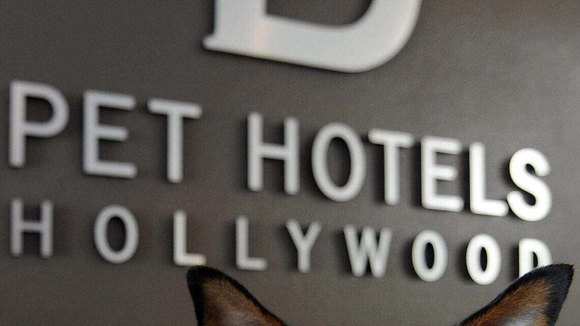 Booking a Hotel With Pets? Call Ahead to Confirm Fees, Breed Rules and Unattended-Pet Policies
