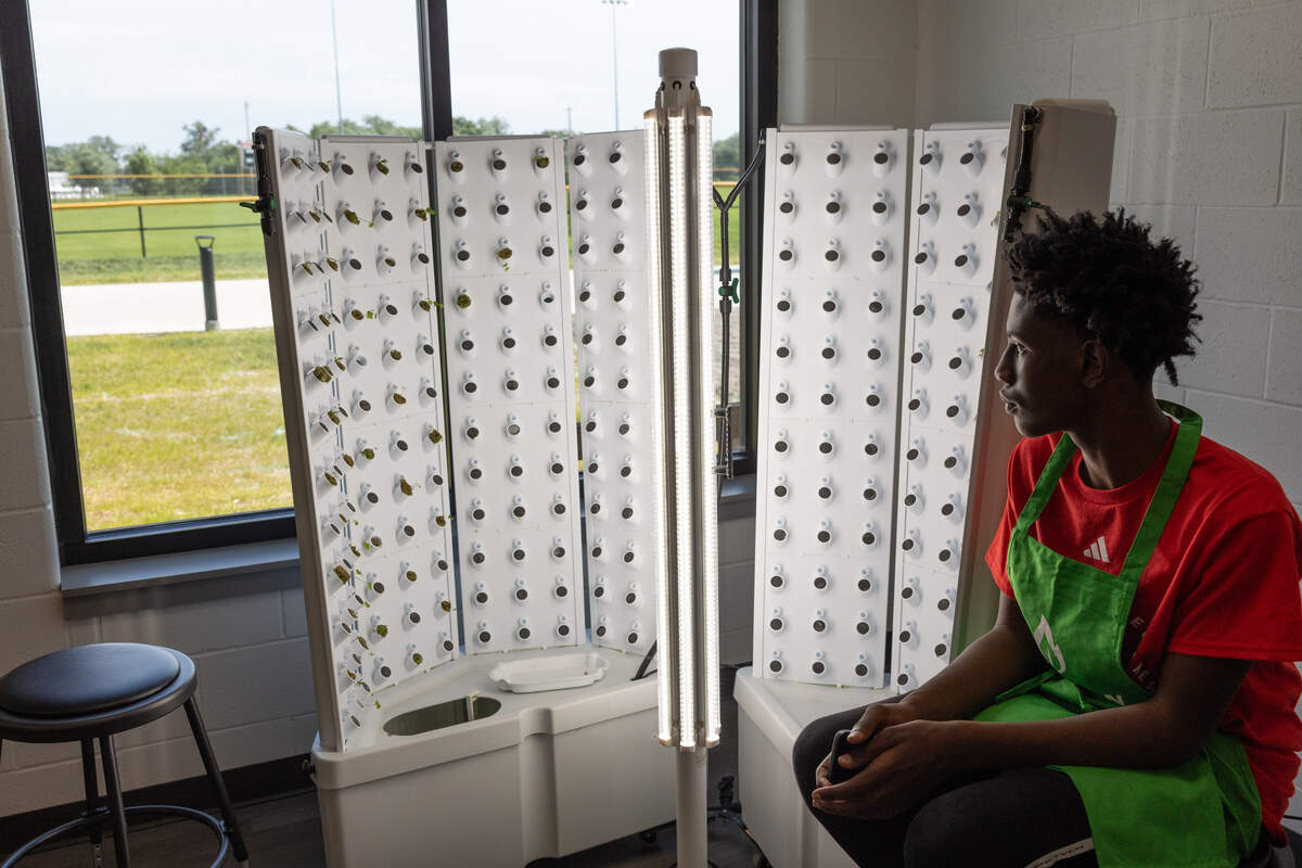 Ryan Miller, an East St. Louis local and volunteer at the new Jackie Joyner-Kersee Food, Agriculture, and Nutrition Innovation Center in East St. Louis, waits patiently at a hydroponics station to explain how plants can grow in limited space.