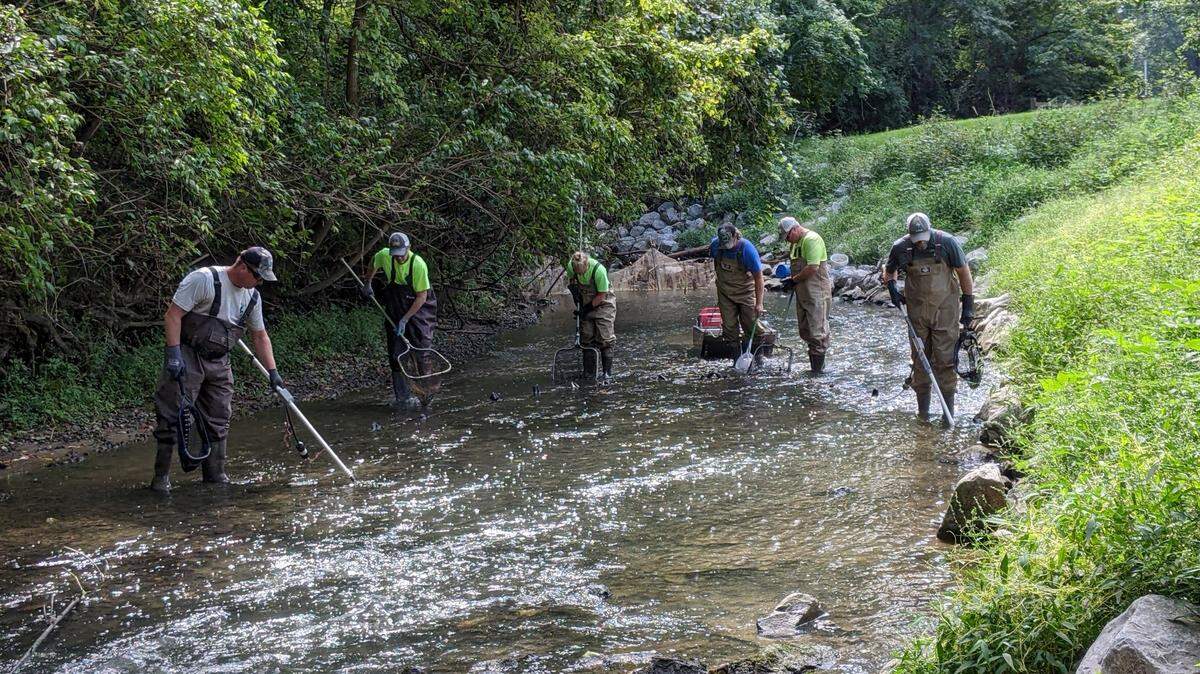 A crew from the Illinois Department of Natural Resources Division of Fisheries conducts a fish survey in September 2022 in Richland Creek, which runs through several metro-east communities.