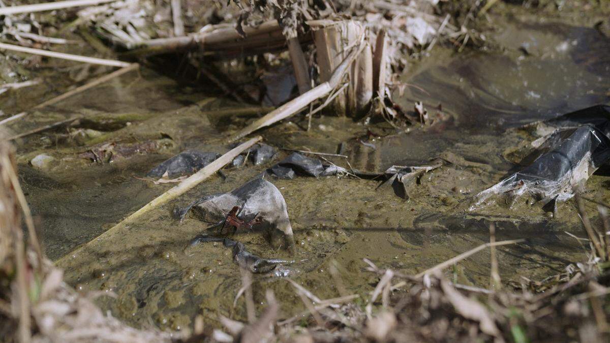 The ditch surrounding William McNeal’s house flows with smelly water every time there is significant rain. The overflows by McNeal’s house made up more than a third of the 107 sanitary sewer overflows in Cahokia Heights.