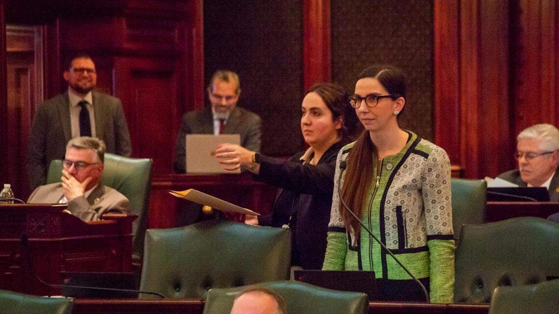Rep. Anne Stava-Murray, D-Naperville, speaks on the Illinois House floor Wednesday in Springfield.