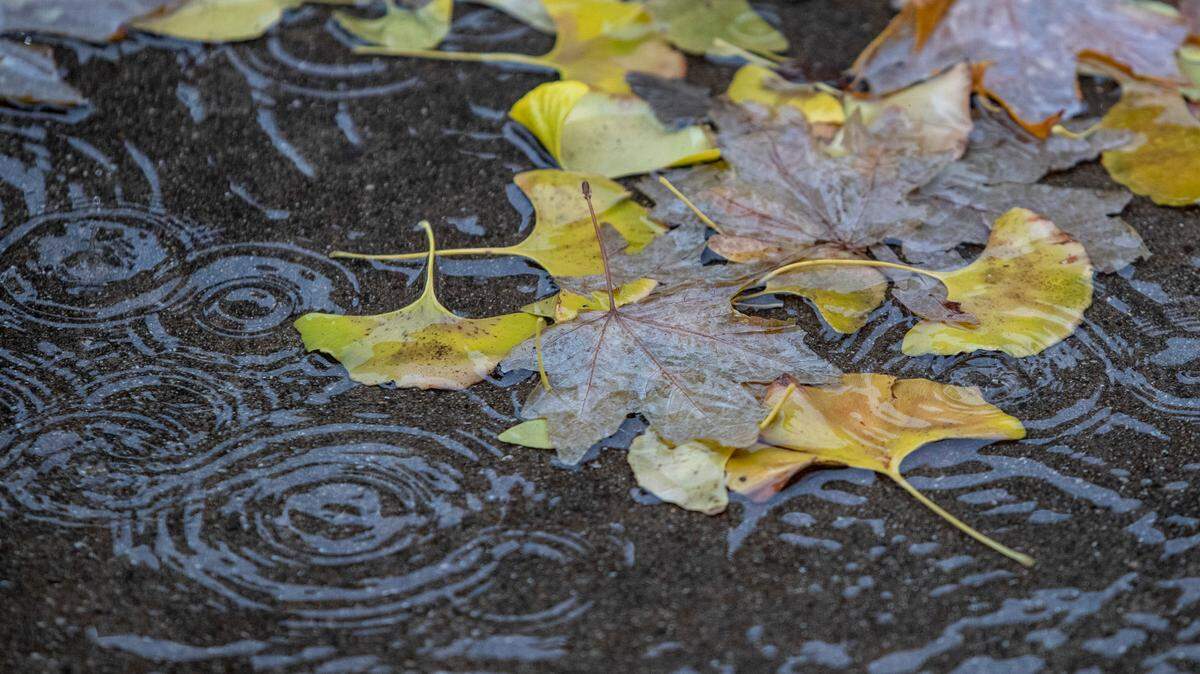 Here’s what conditions you can expect in Belleville for Thanksgiving and Black Friday, with information from a local meteorologist and AccuWeather’s forecast.