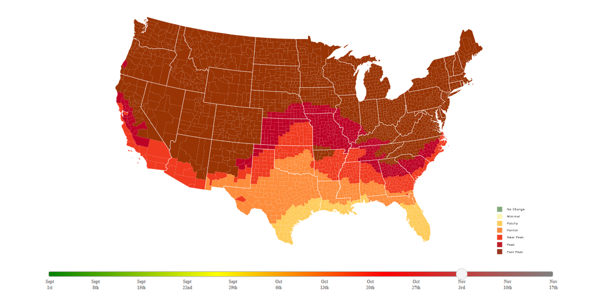 This screenshot from Smokymountains.com shows fall foliage is expected to peak Nov. 3 in the metro-east.