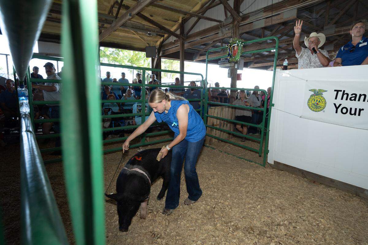 Emma Schultheis’s pig is displayed for auction at 4H and FFA Market Animal Auction at the Monroe County Fair in Waterloo.