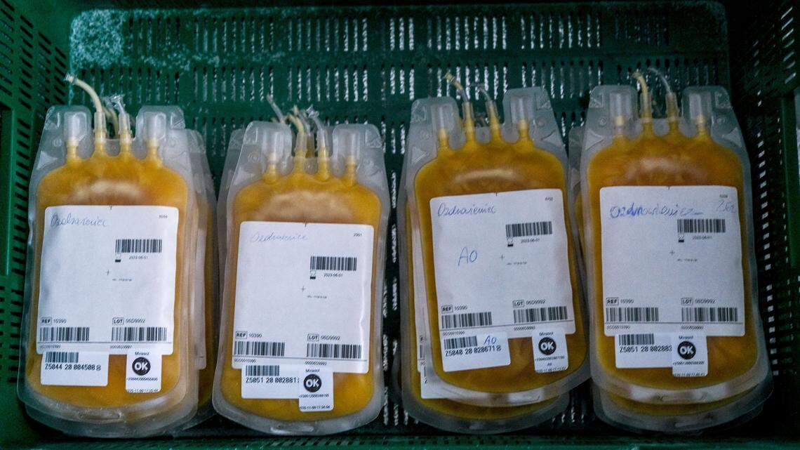 Bags of donated plasma.
