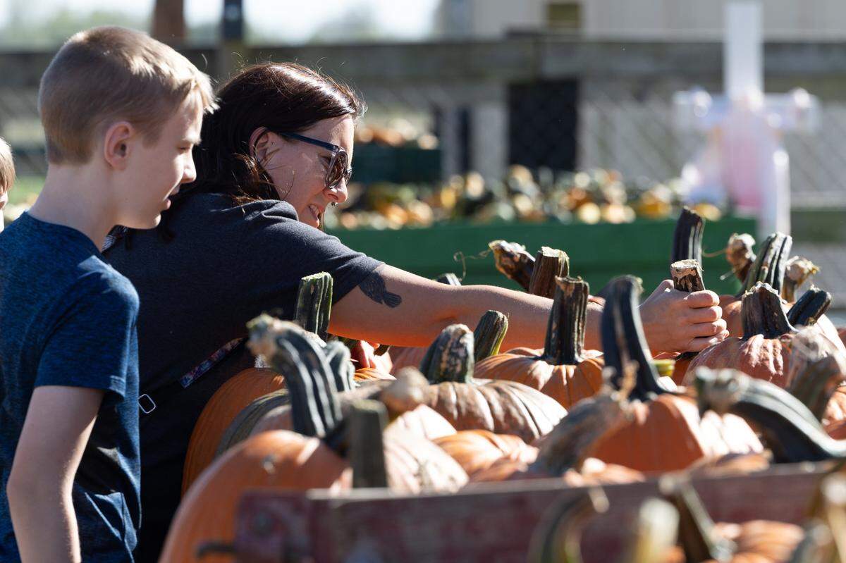 Keri Green picks pumpkins with her children at Relleke Farms in Collinsville, Ill.