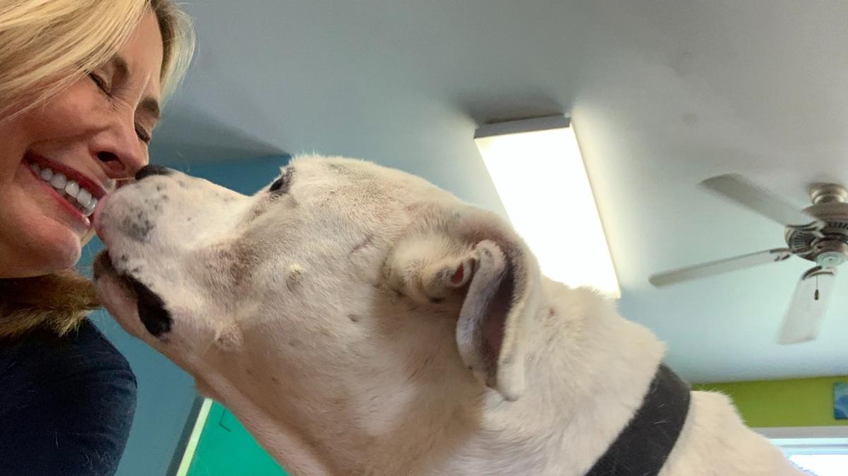 Michelle comes nose-to-nose with her first Slumber PAWty bed partner, a handsome pup who later got adopted by her neighbors.