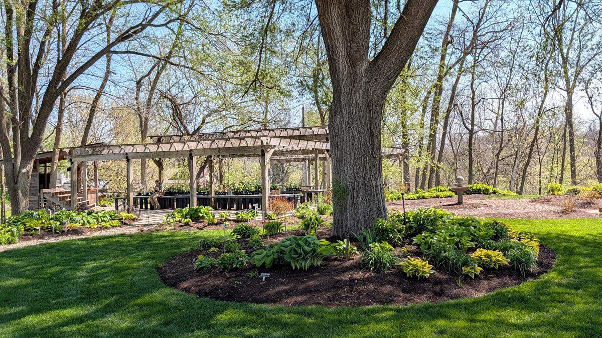 The original sales area at Hostas on the Bluff shown on the left