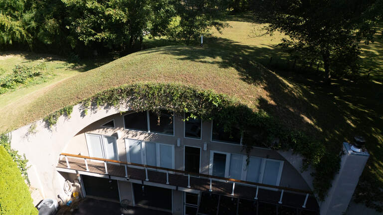 This metro-east home has a roof made of dirt and four acres of trees