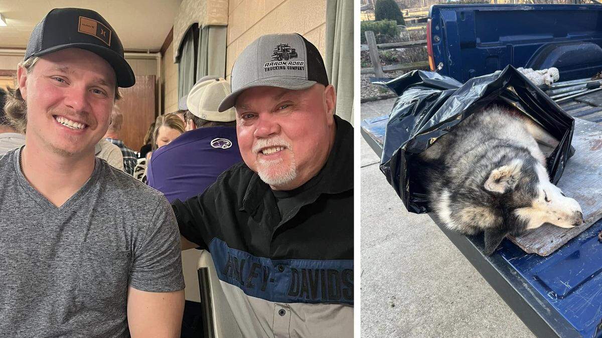 Hobie Timmons and his son, Brent Timmons, were the owners of a Siberian husky named Trigger. The dog was shot and killed by a neighbor on Friday on his property between Aviston and Albers.