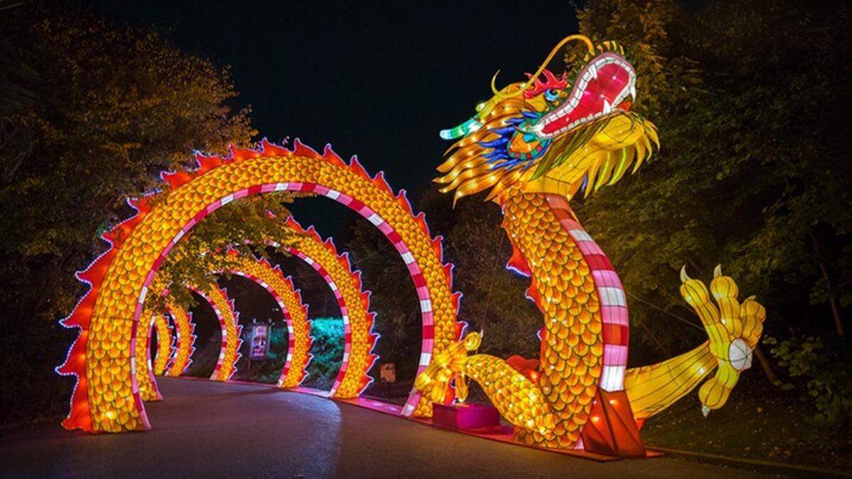 The “Animals Aglow” lantern festival kicks of at the St. Louis Zoo Wednesday, March 13, and runs through May 5.