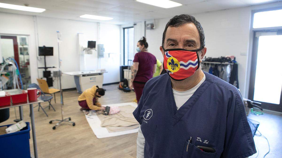 Gateway Pet Guardians veterinarian Ed Migneco sold his private practice to run the organization’s clinic.