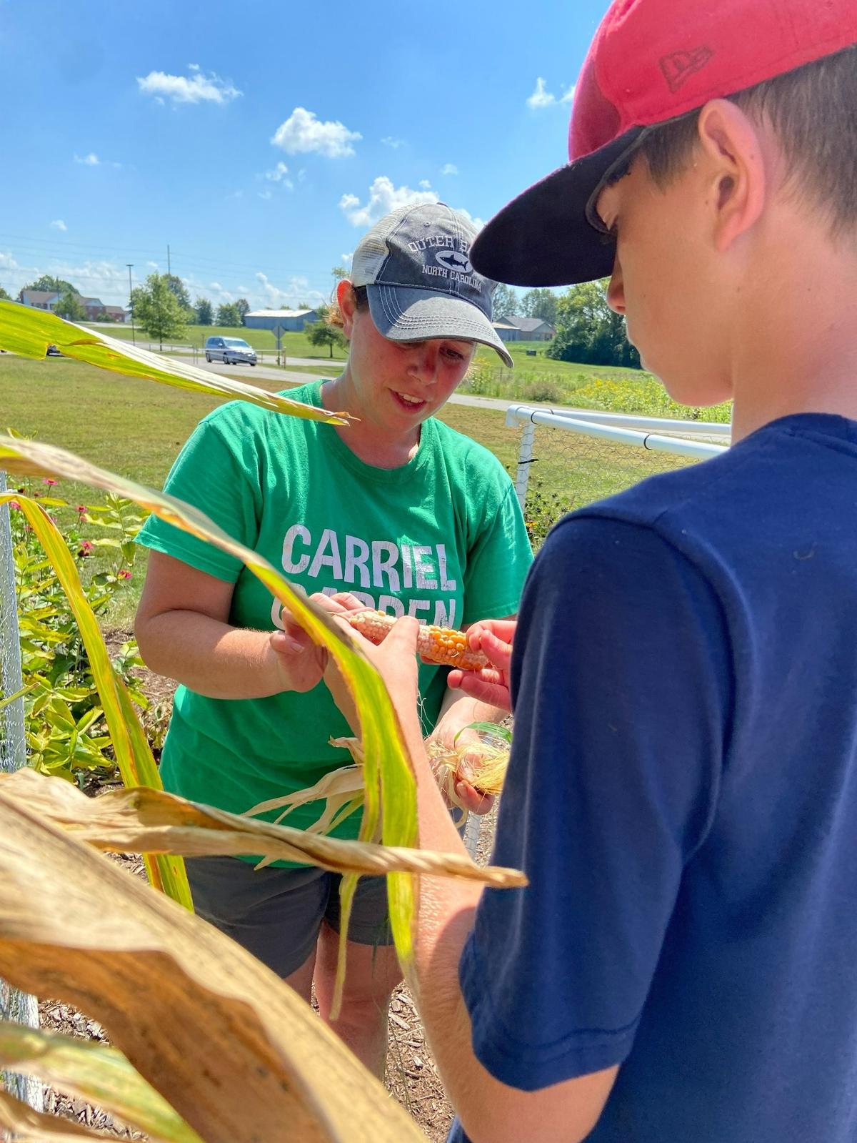 To teach about nature and ecosystem interactions, Life Sciences teacher Mellenthin took the classroom outside at Carriel Junior High School several years ago, planting butterfly and vegetable gardens in a side yard, and later, a pollinator patch of native prairie grasses across the road. Pictured, Mellenthin takes the husk off an ear of corn to reveal a popcorn cob to her son, Isaac.