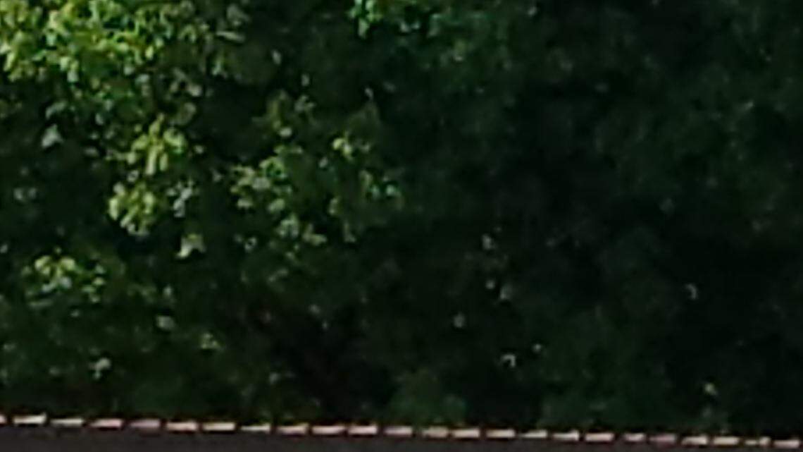 Bulldogs use big 3rd, 6th innings to bounce Triad from IHSA Class 3A regional semifinals