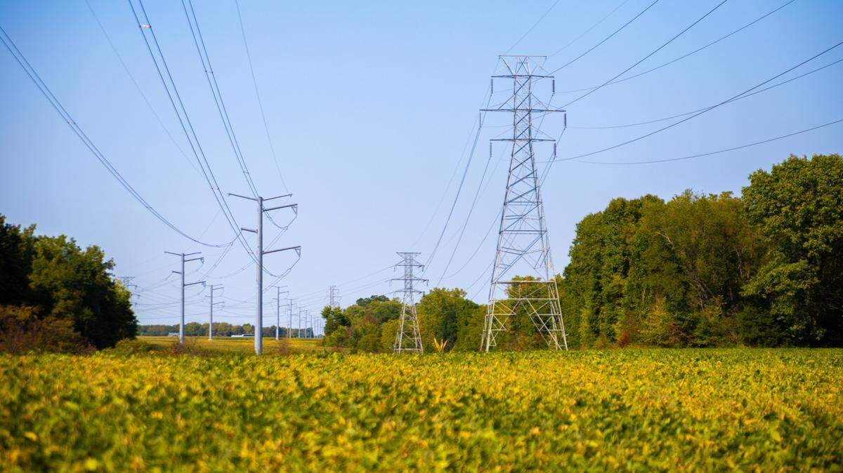 This file photo shows electricity transmission lines in central Illinois.