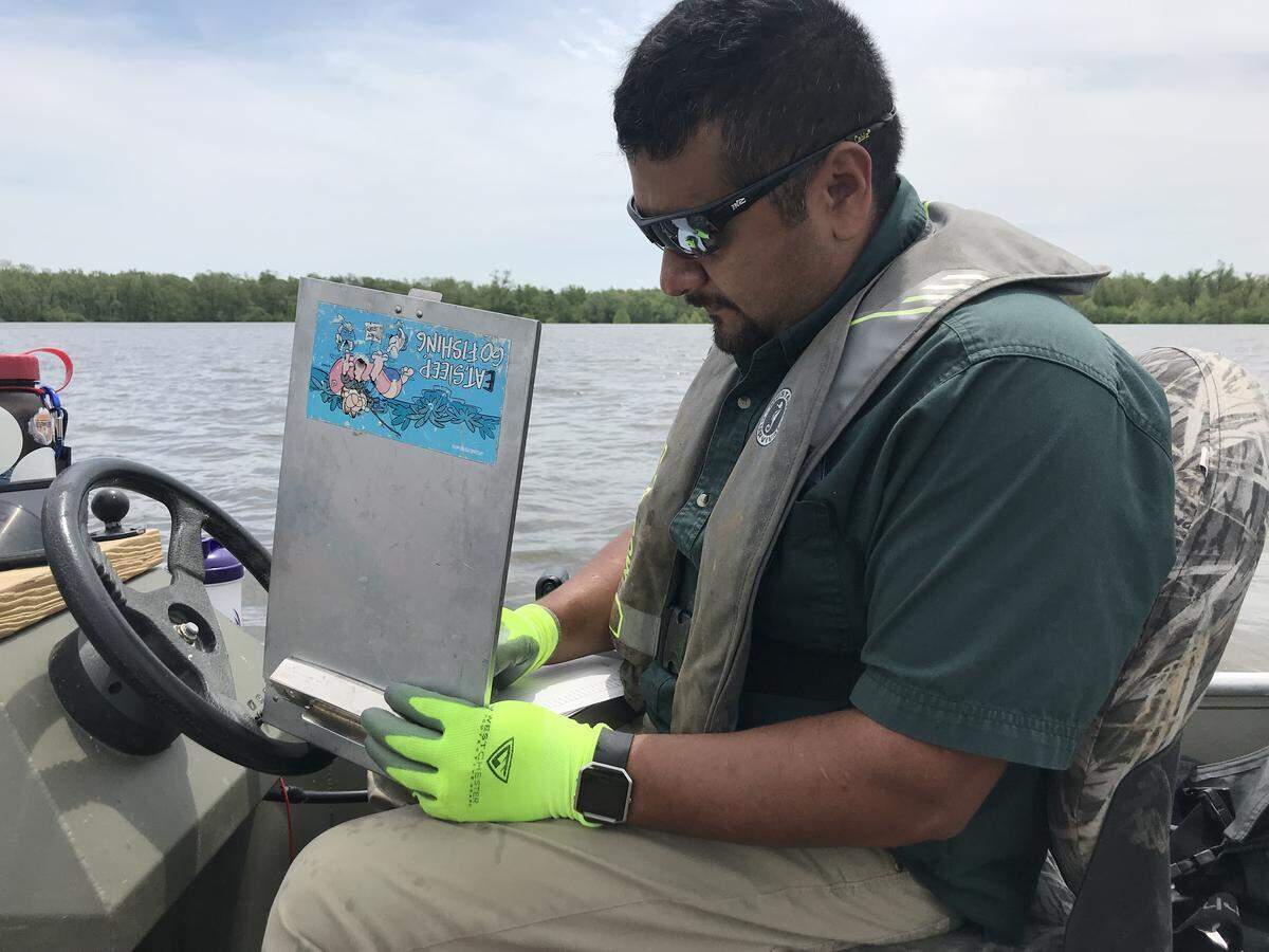 Fisheries management biologist Salvador Mondragon takes notes on a recent alligator gar-sampling mission.