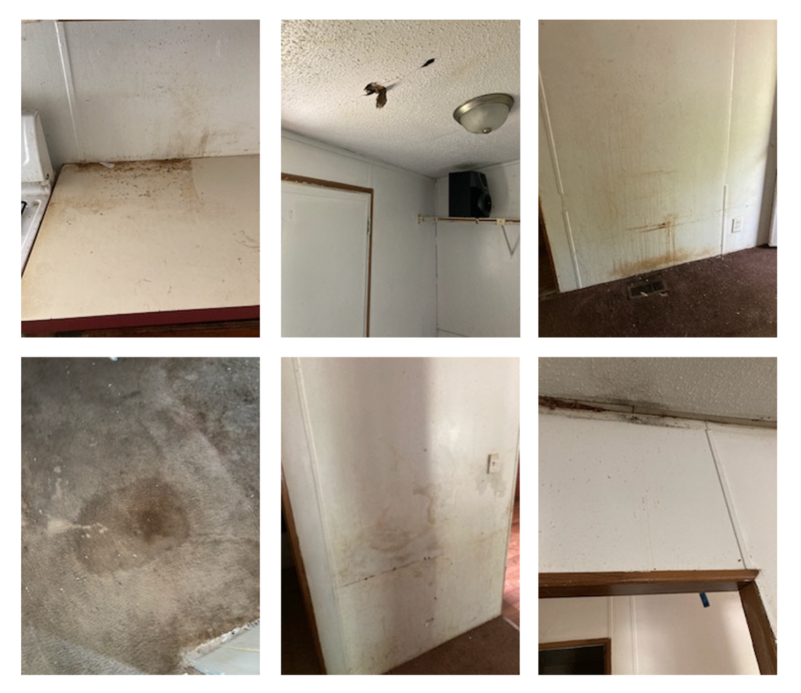 The village of Shiloh shared these pictures of mold and moisture at a Lake Suzanne mobile home with the property owner, Homes of America LLC, after it failed an occupancy inspection in 2023.