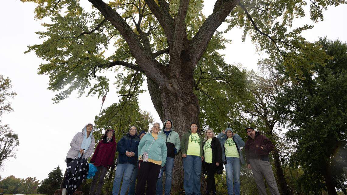 Sentinel of the cemetery: Belleville’s ‘champion’ maple draws celebration, concern