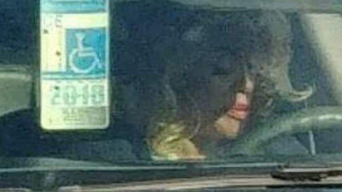 Mayor again shows us that rules don’t apply to her