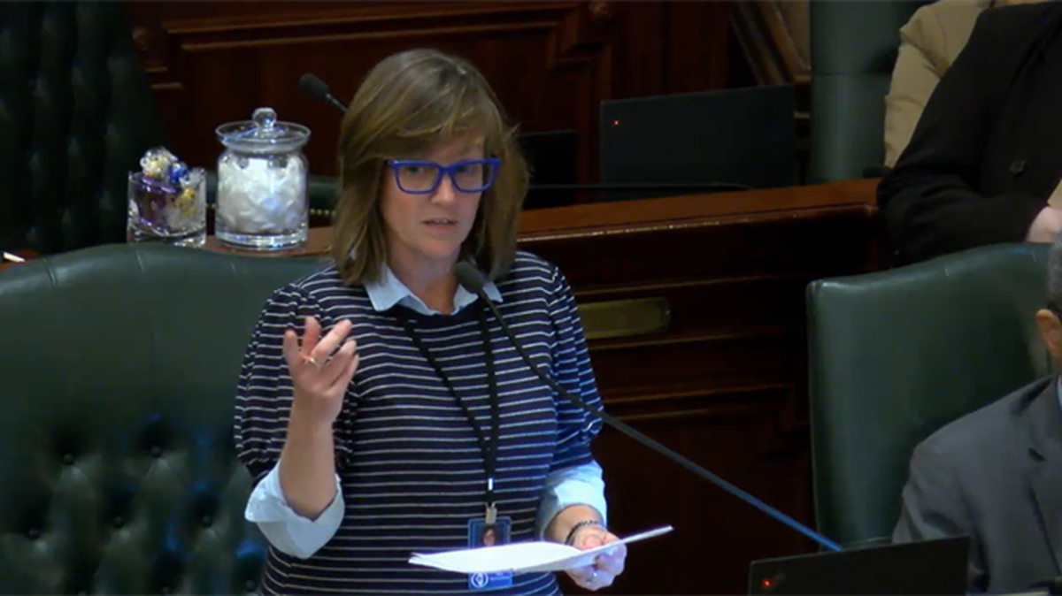 Rep. Katie Stuart, D-Edwardsville, speaks in favor of a bill on the House floor Thursday that would allow multi-occupancy all-gender bathrooms in Illinois.