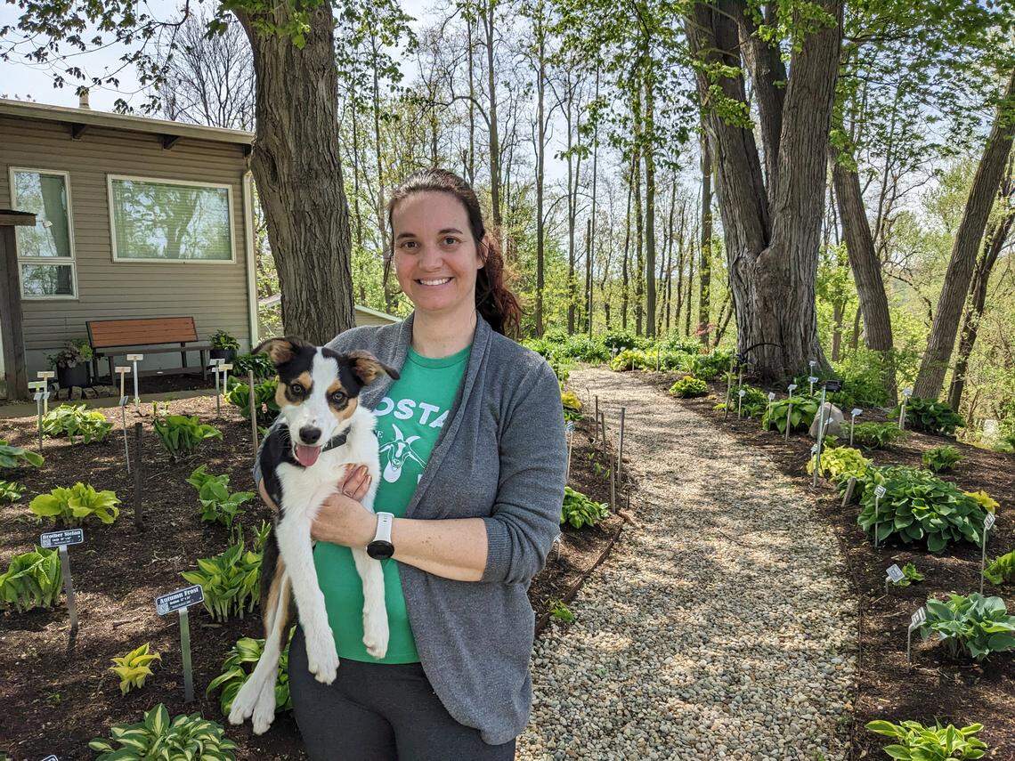 Hostas on the Bluff owner Erica Kniffin and Sophie the border collie
