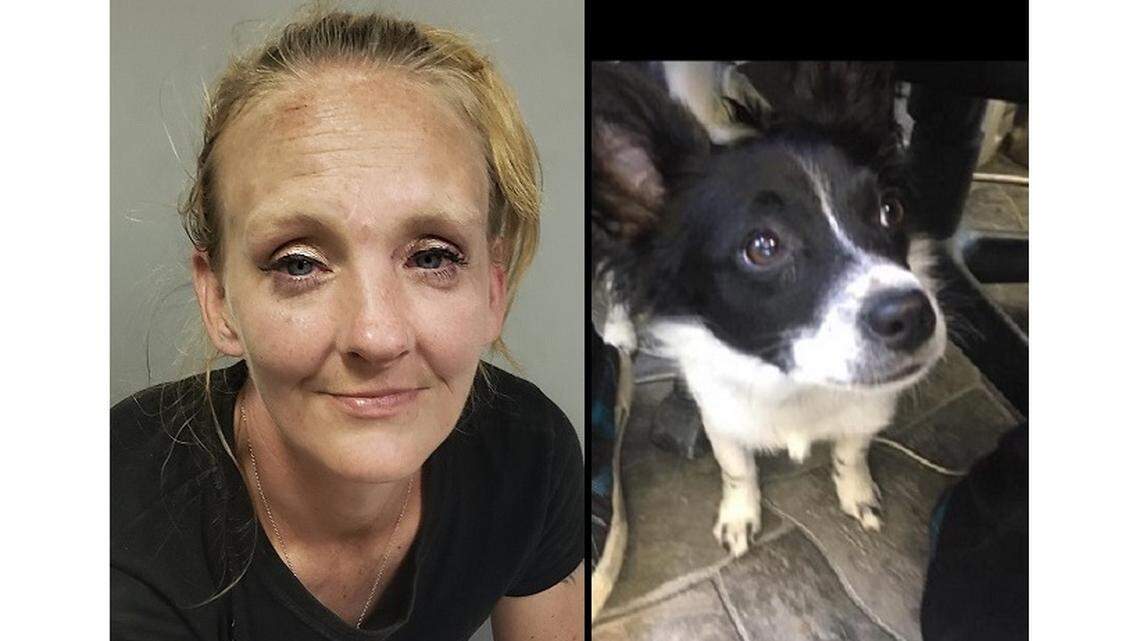 Killing of woman's puppy is cautionary tale for Good Samaritans