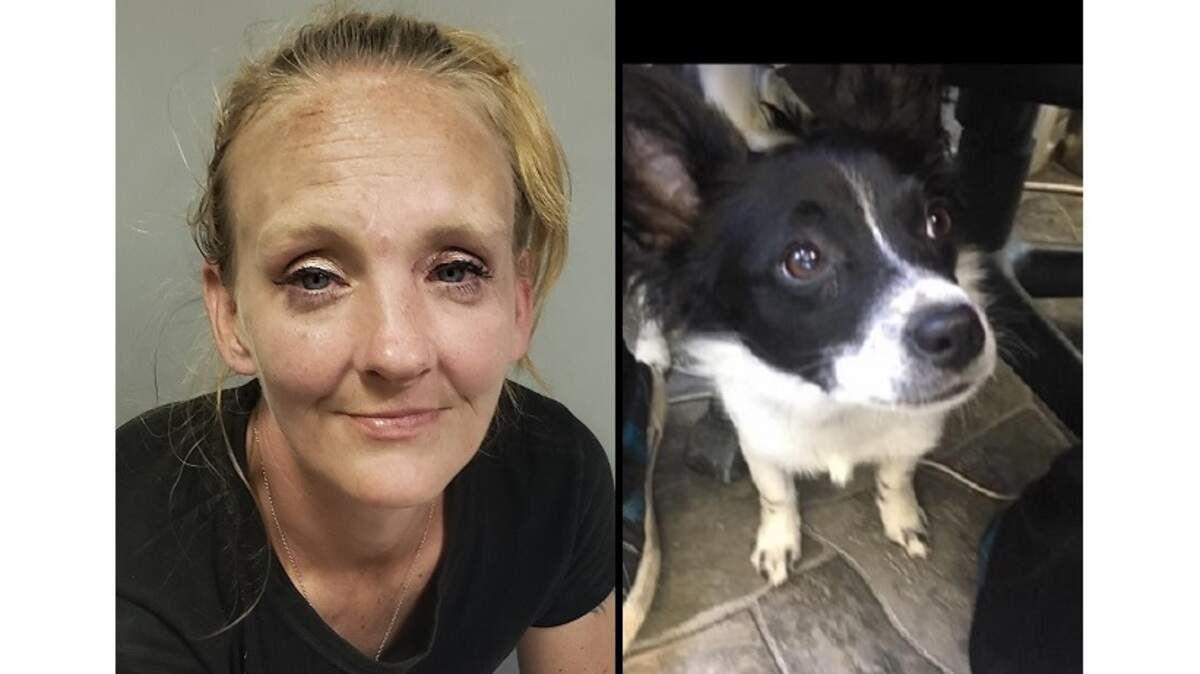 Sandra Cain is charged with killing Rascal, an 8-month-old puppy in Herrin.