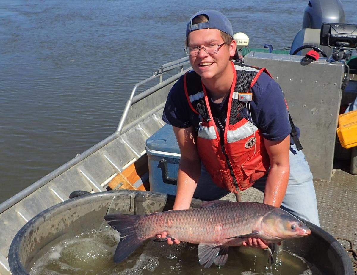 A USGS scientist holds a black carp collected from the Mississippi River near St. Louis.