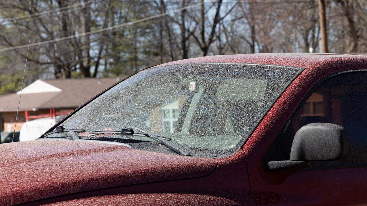 The truck of Rodney Rednour after he woke up to it covered in a mysterious, unidentified substance in Marissa on Friday. “I know Ash Wednesday was two days ago, but this a little ridiculous,” Rednour joked.