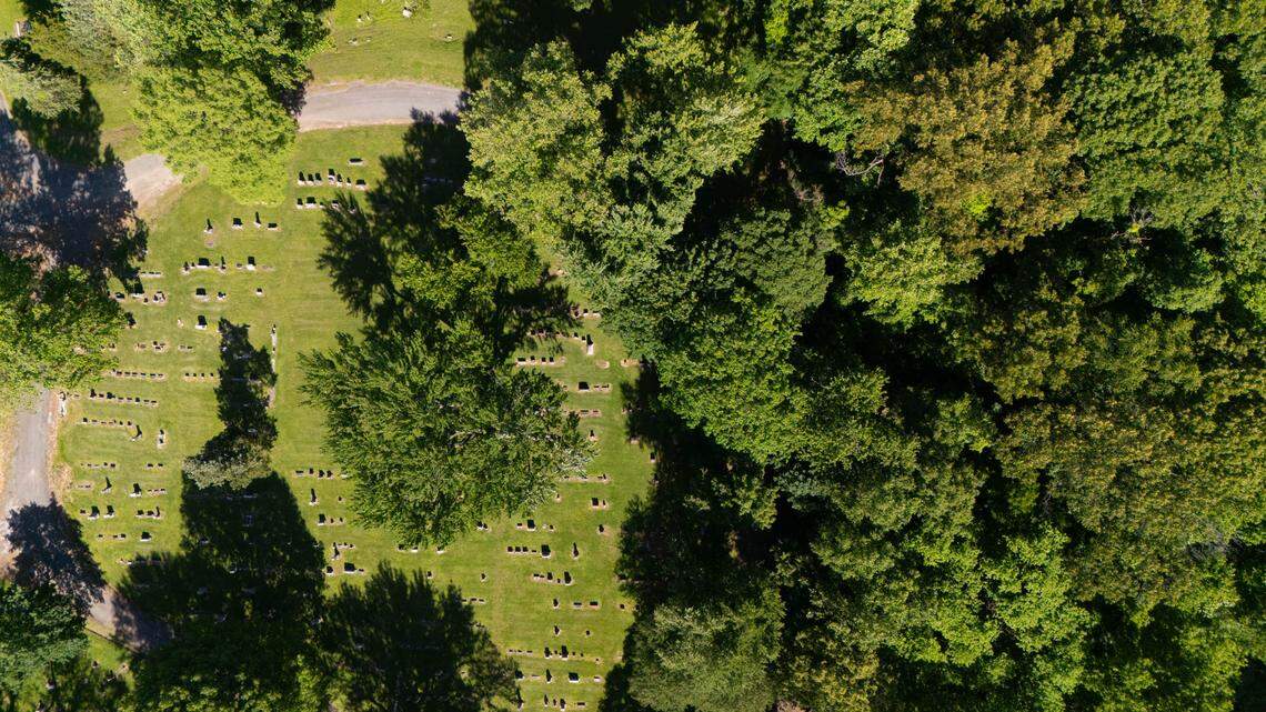 This drone photo shows graves in Mount Hope Cemetery in Belleville to the left and woods that are slated for clear-cutting to make way for a solar farm to the right. Officials have promised to leave a buffer zone of trees between the two.