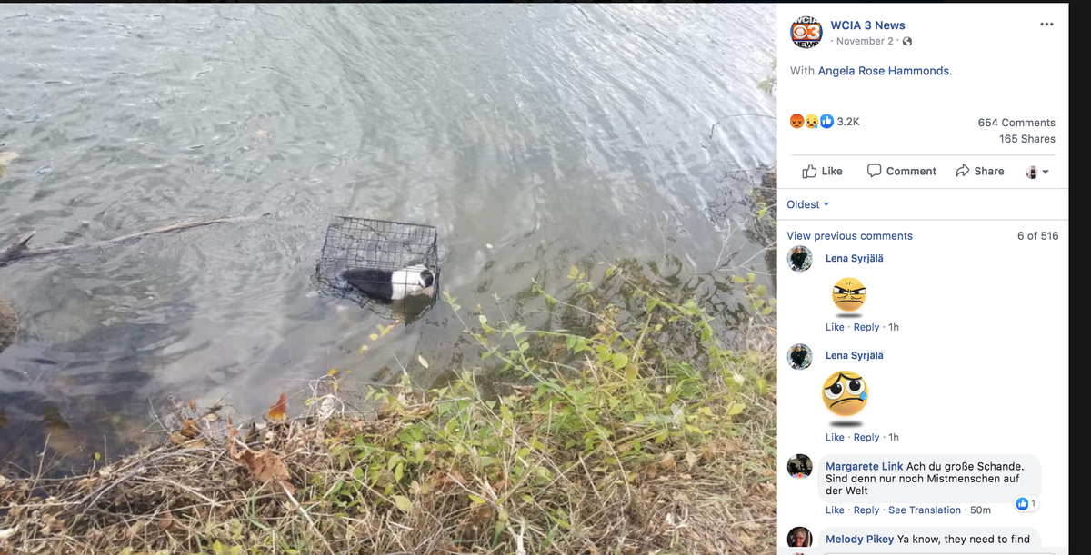 A man in Illinois says he found a dog in a locked cage floating in an area lake.