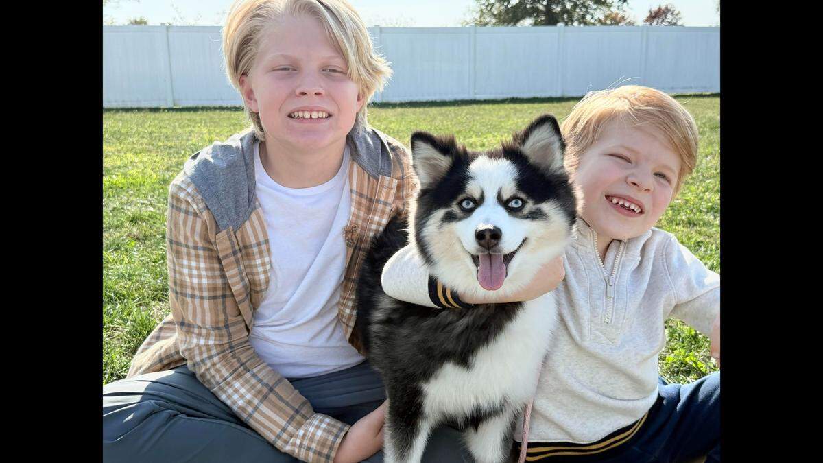 Zoey, seen here with her favorite playmates, has been named the cutest dog in Illinois in the BND’s photo contest.