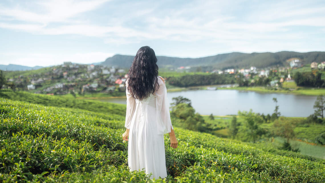The $20,000 Gut-Health Retreat: What Are People Actually Paying For?