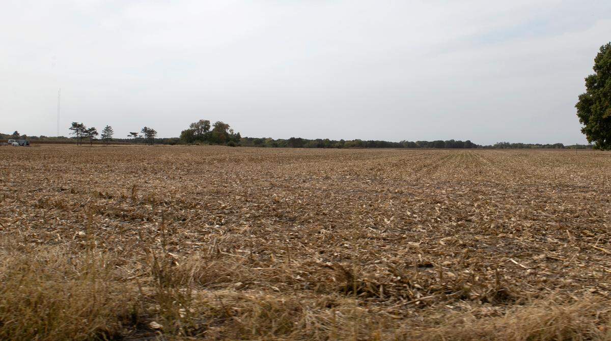 This farmland northwest of Illinois 143 and Interstate 55 is slated for development as part of The Pointe, a combination of offices, warehouses and light manufacturing.