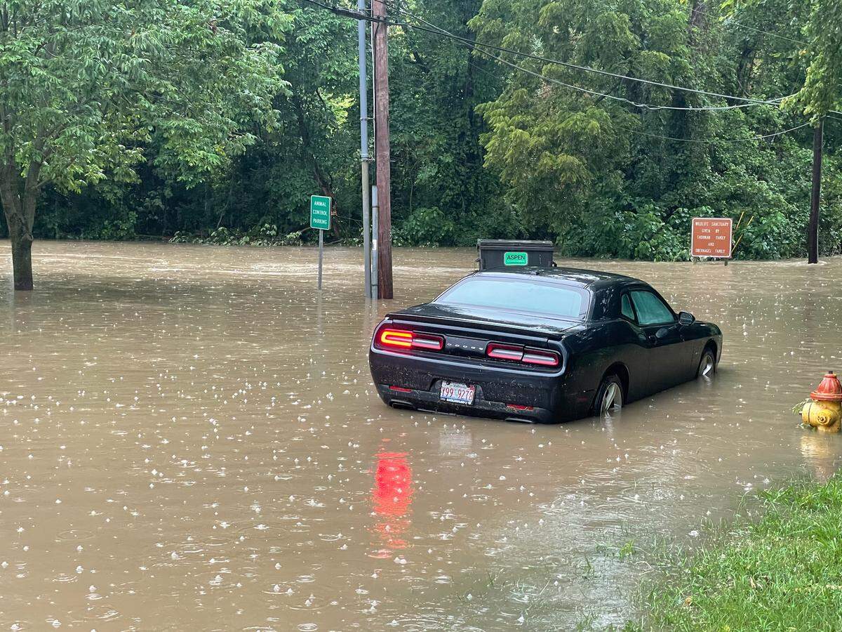 The St. Clair County Animal Services parking lot in Belleville is pictured here on during the heavy rainfall event in July of 2022.