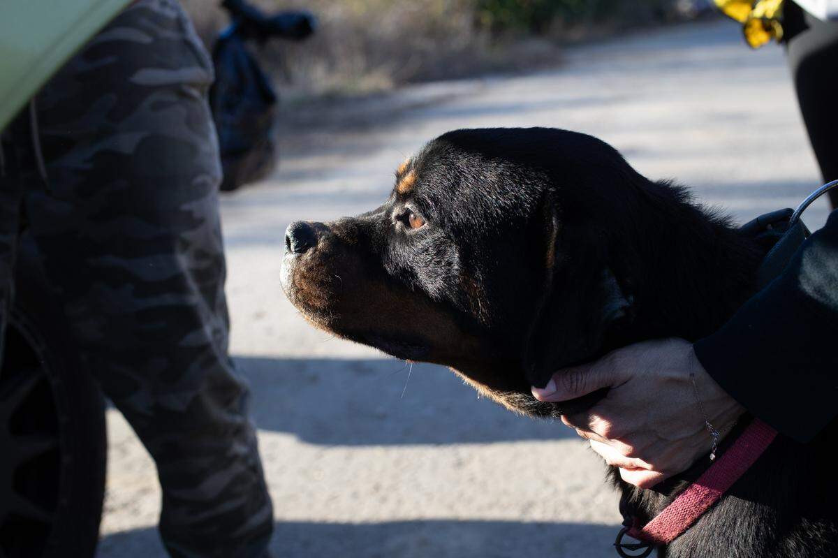 During the cleanup, organizers found a location with two dogs chained inhumanely to a stake. They freed the dogs, and convinced the owner to move them to a location with adequate food and shelter.