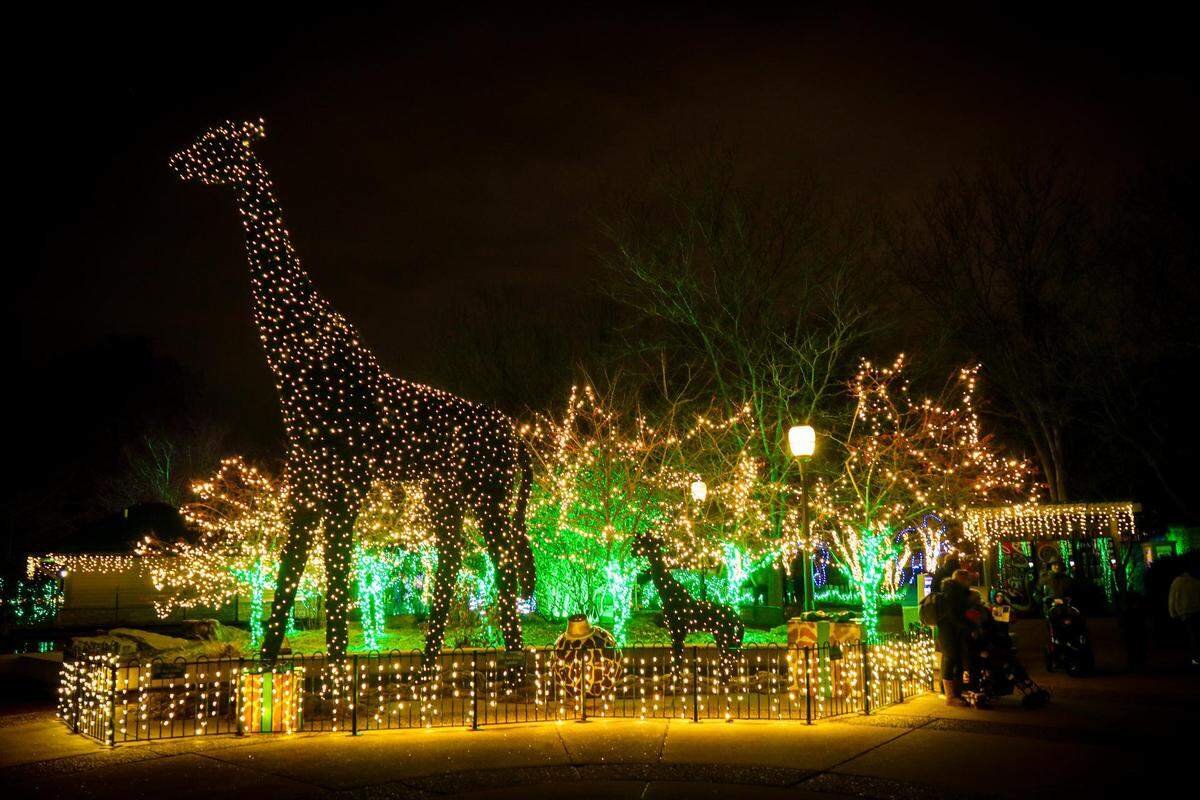 Wild Lights returns to the Saint Louis Zoo starting Friday, Nov. 24. The event takes place on select nights through Saturday, Dec. 30. For more info, visit www.stlzoo.org/wildlights.