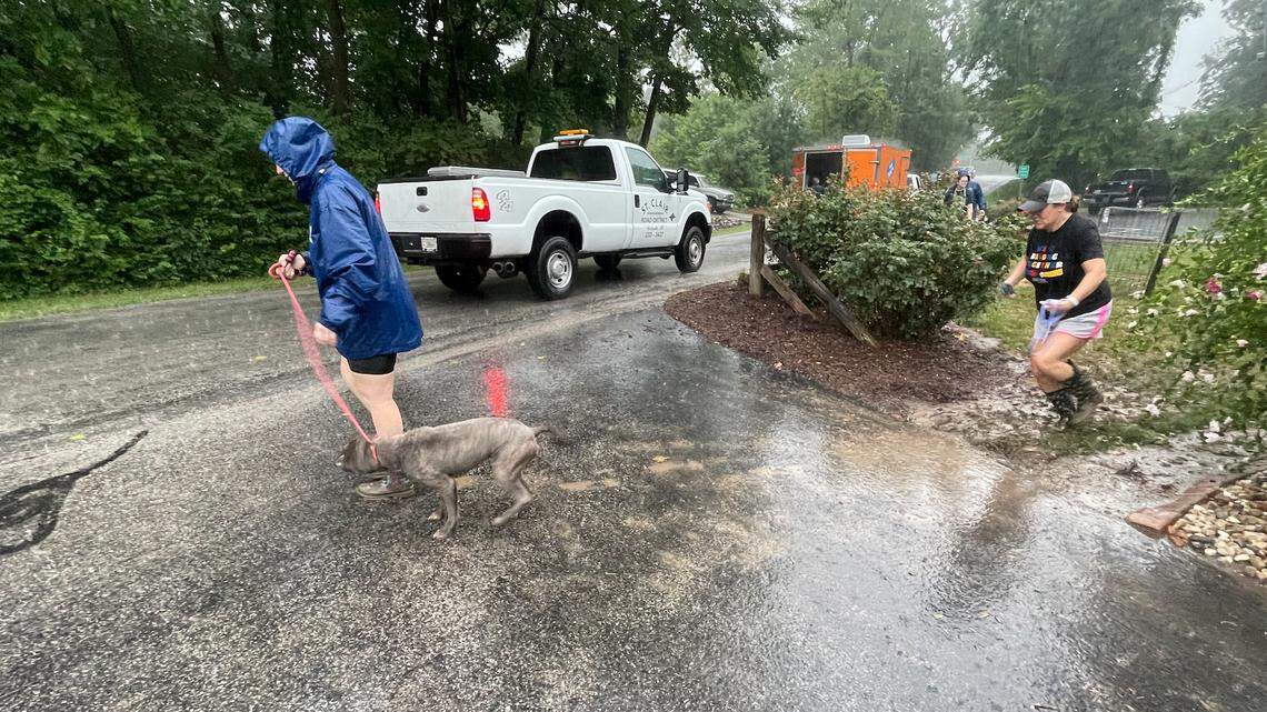 Dogs and cats evacuated from flooded St. Clair County Animal Control facility