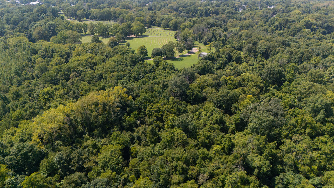 Controversial solar farm project at Belleville cemetery has collapsed, officials say