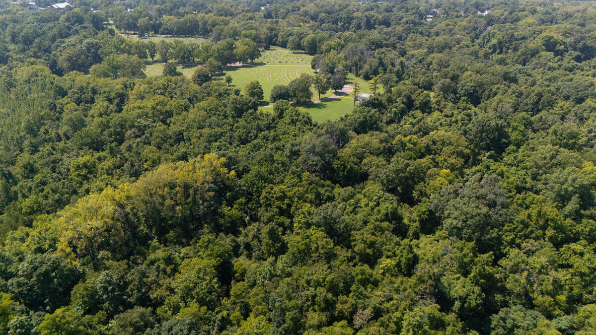 Controversial solar farm project at Belleville cemetery has collapsed, officials say