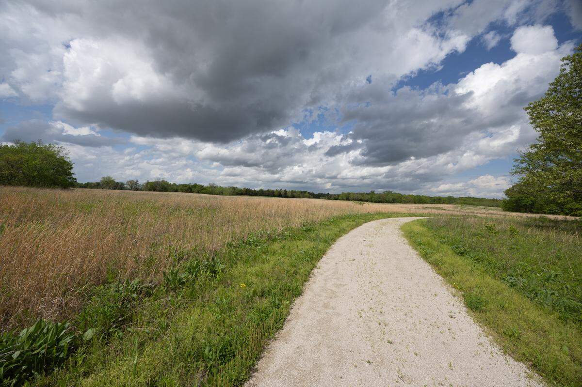 Many trails wind through Paul Wightman Subterranean Nature Preserve, providing a serenely quiet walk along a rare prairie ecosystem.