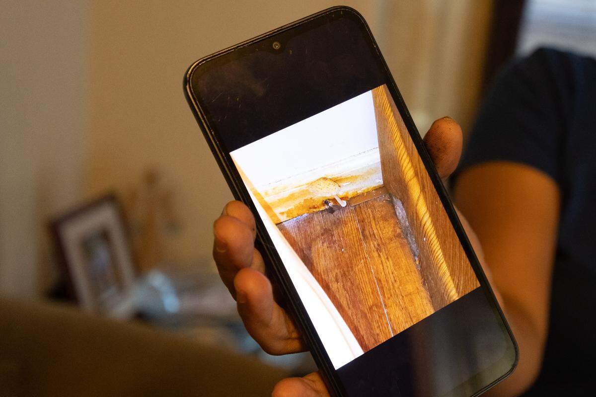 Robin Jackson took a photo of the mushroom growing out of the baseboard in her bathroom from the moisture in the room.