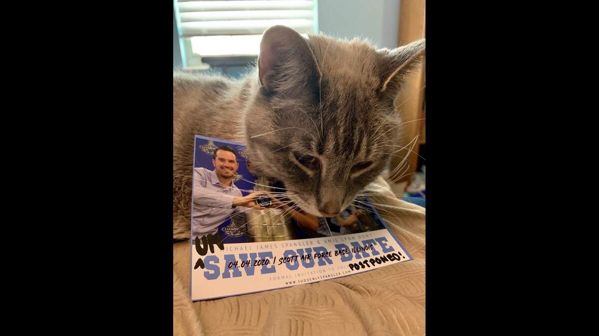 Michael Spangler and Amie Hunt decided to tell friends and family to “unsave” the date for their wedding with this image of their cat, Marsha, so people would know they were finding humor in a difficult situation.
