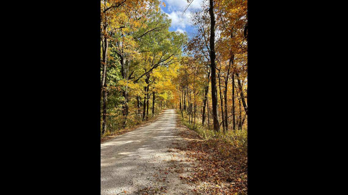 Shawnee is a sprawling national forest with numerous places to walk and enjoy the outdoors. This is Pine Hills Road in the LaRue-Pine Hills section of the forest.
