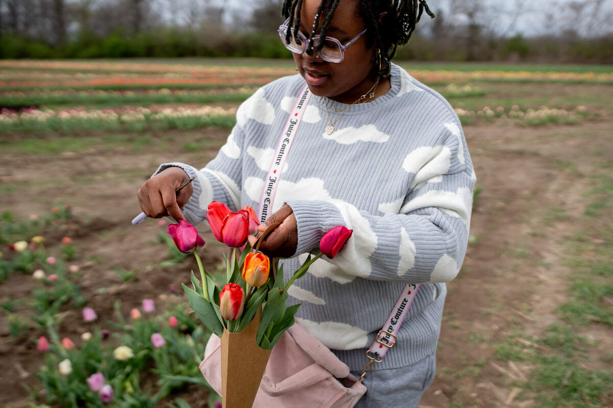 Paris Cooper, of Pontoon Beach, counts her recently picked flowers at the Eckert’s Farm Tulip Trail on Friday in Belleville.
