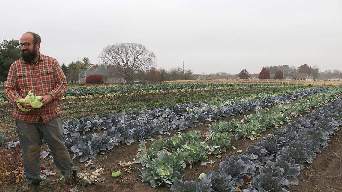 State grants allow small Illinois farmers to develop local food-sharing networks